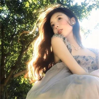 丹美的电影宇宙